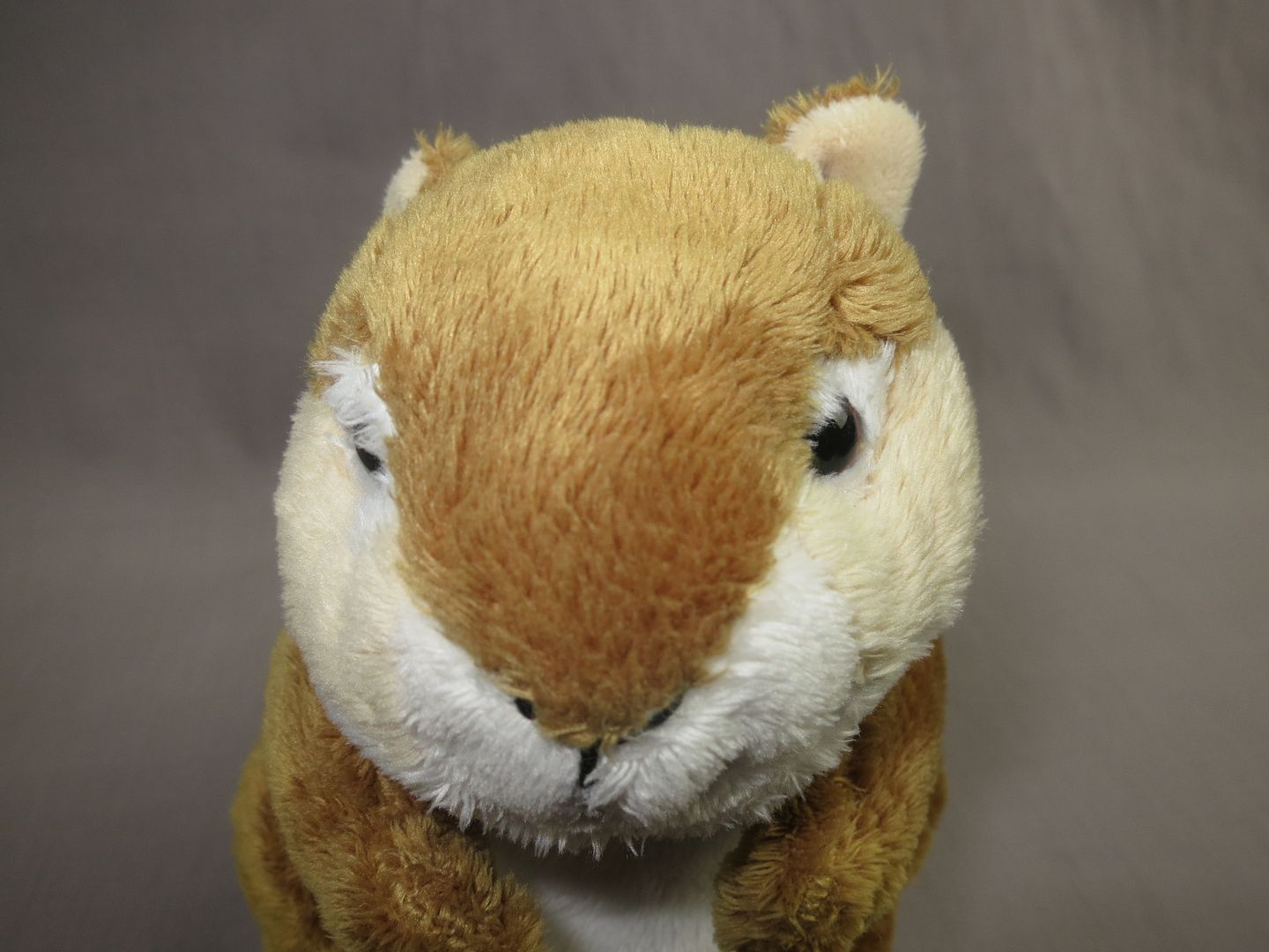 webkinz signature chipmunk